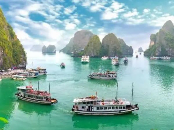Half Day Explore Halong Bay With Lunch, Sung Sot Cave, Titop Island and Kayaking